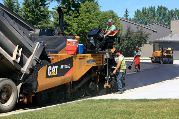 Best Local Driveway Pavers  in Minneota, MN